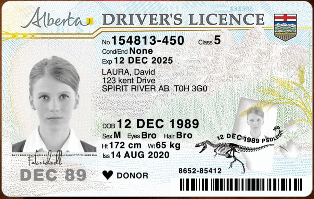 fake alberta driver license for sale online